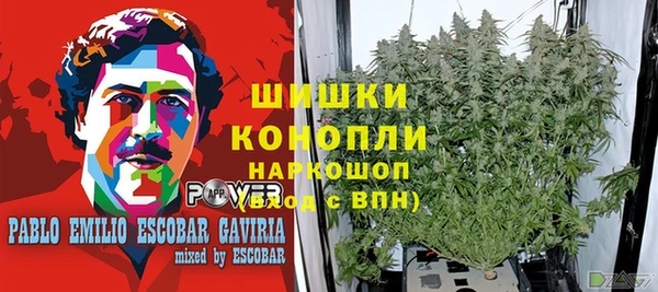 мдма Богданович