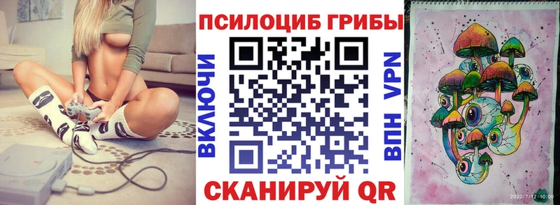 Псилоцибиновые грибы Psilocybine cubensis Любань